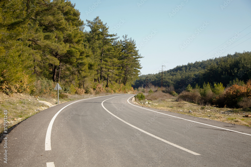 Fototapeta premium Empty road in the forest in autumn