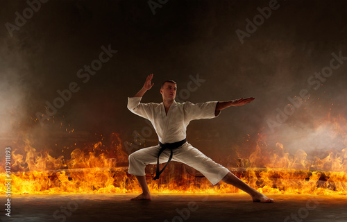 Karate fighters. © Victoria VIAR PRO