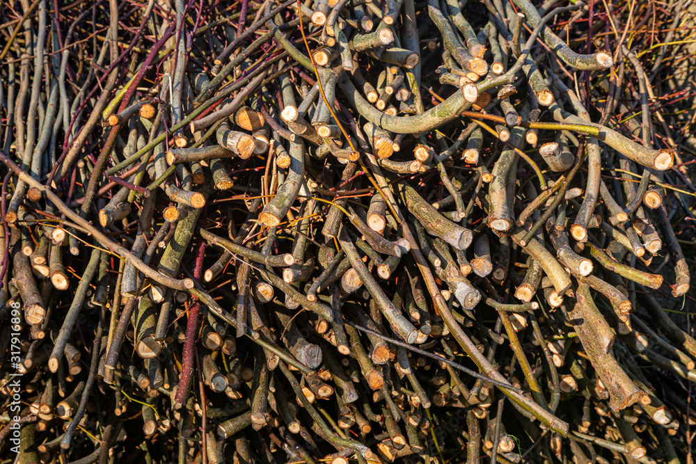 A full frame photograph of cut tree branches in a large pile A full frame photograph of cut tree branches in a large pile