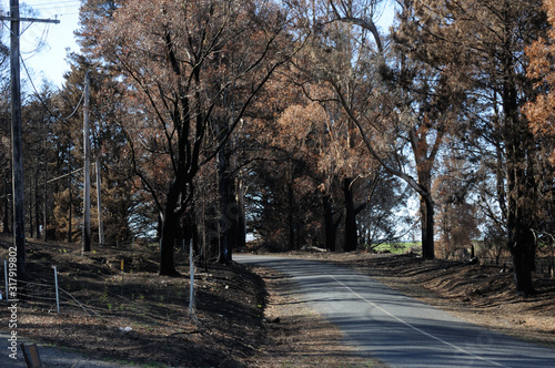 After The Fire. Road.