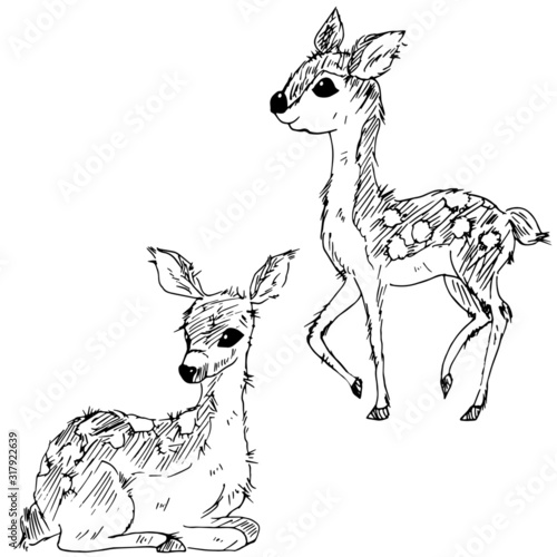 Cute deer. Sketch. Vector illustration.