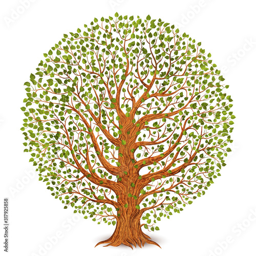 Tree isolated on white background. Vector illustration.