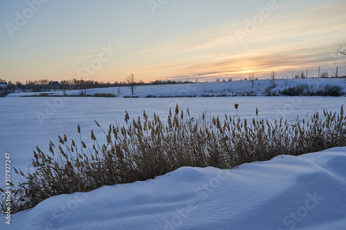 Winter landscape-frosty trees in a snow-covered birch forest on a Sunny morning. Calm winter nature in sunlight