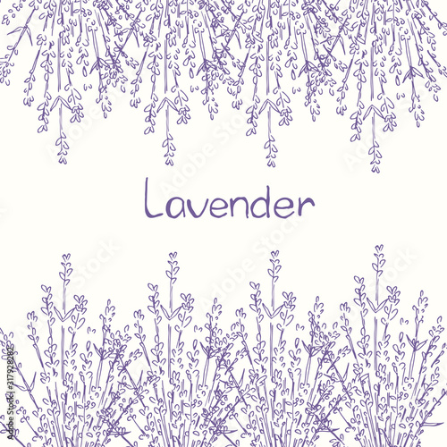 Hand drawn lavender flowers with space for text. Template for greeting card, postcard, prints.