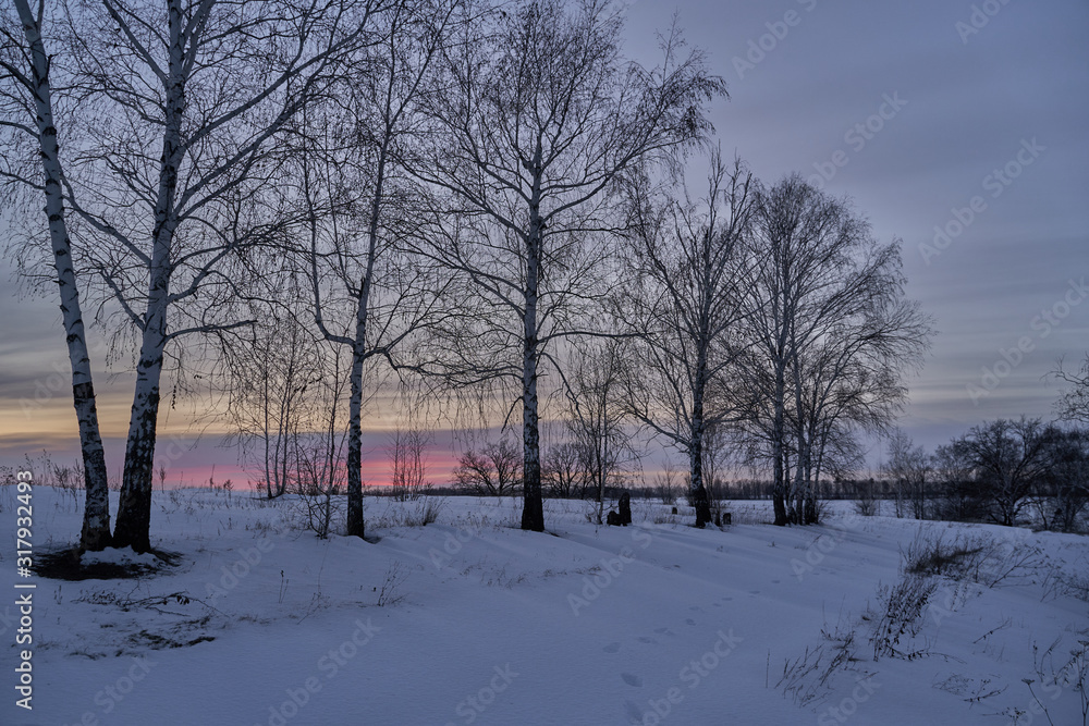 Winter landscape-frosty trees in a snow-covered birch forest on a Sunny morning. Calm winter nature in sunlight Winter landscape-frosty trees in a snow-covered birch forest on a Sunny morning. Calm winter nature in sunlight