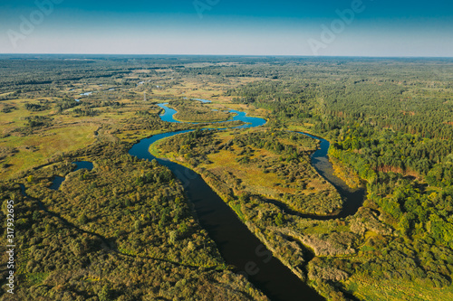 Aerial View Green Forest Woods And River Landscape In Sunny Summer Day. Top View Of Beautiful European Nature From High Attitude In Summer Season. Drone View. Bird's Eye View
