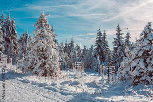 skiing trail