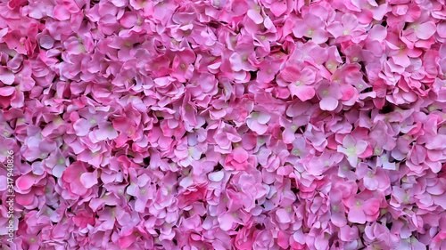 background of pink flowers © sunet