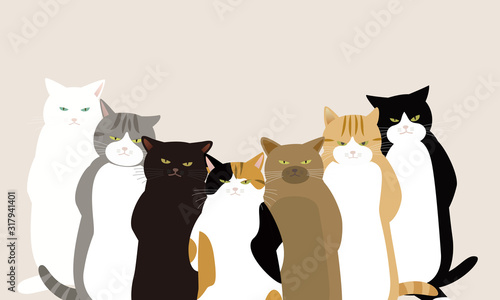 ハードボイルドを気取る 無愛想な顔の7匹の猫 Stock イラスト Adobe Stock