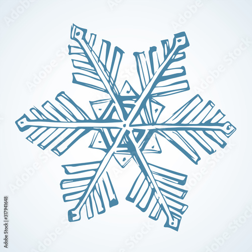 Cute snowflake. Vector freehand drawing