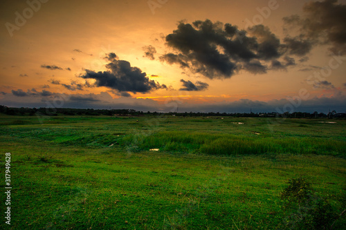 Abstract wallpapers of a blurry nature of colorful sky by the lake, with coconut palms and green fields, with cows walking on grass, seen in rural areas