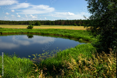 Pond on the plain in summer.