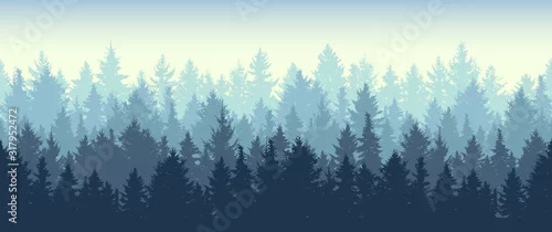 Panel kuchenny z motywem Seamless coniferous winter forest background. Nature, landscape. Pine, spruce, christmas tree. Fog evergreen coniferous trees. Silhouette vector illustration
