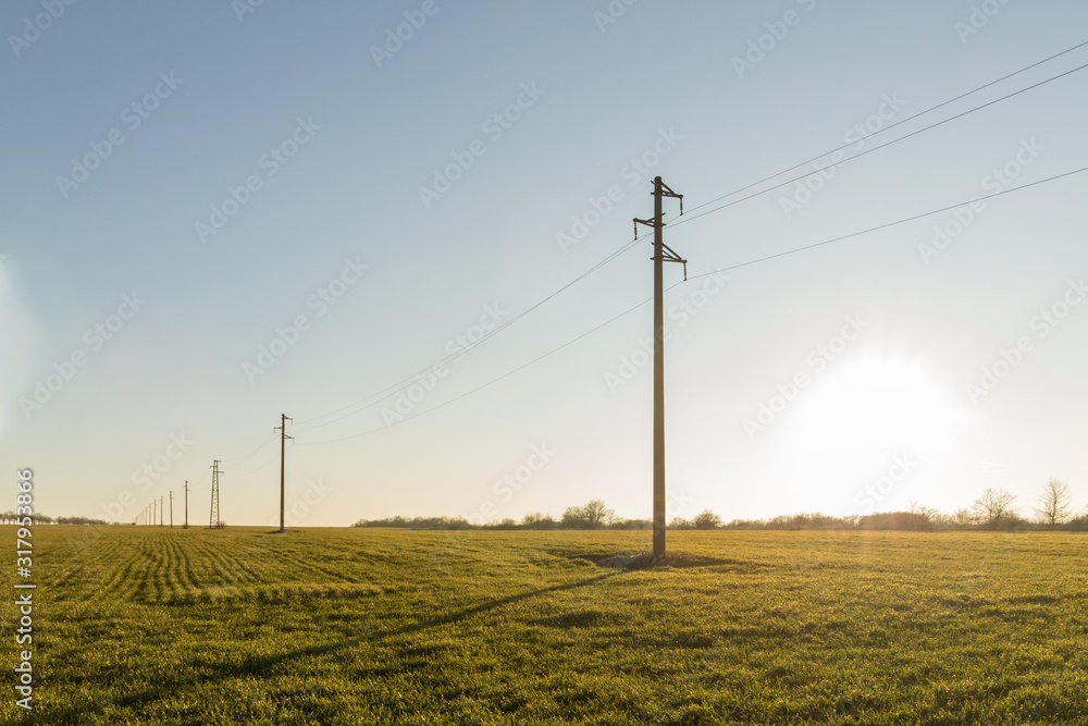 Selective focus. A line of electric poles with cables of electricity in a field with a forest in background in autumn during sunset.