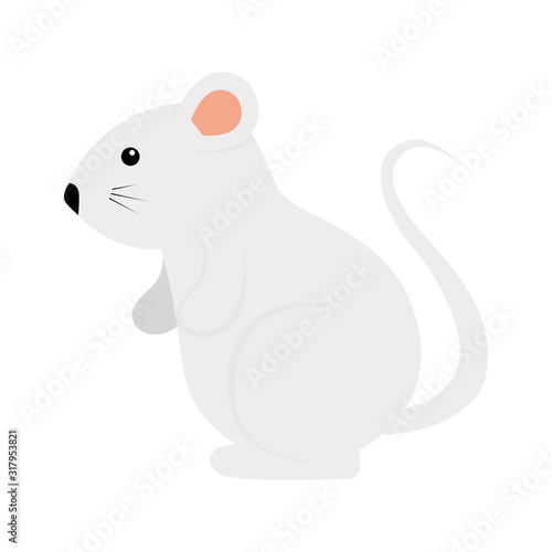 cute rodent rat isolated icon