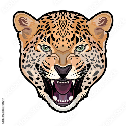 Jaguar head symmetrical colored illustration isolated background