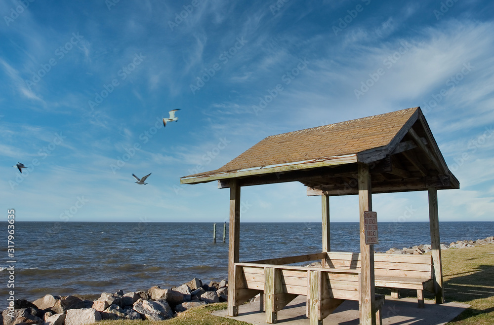 Seagulls flying around a beach shelter and benches on a rocky shore