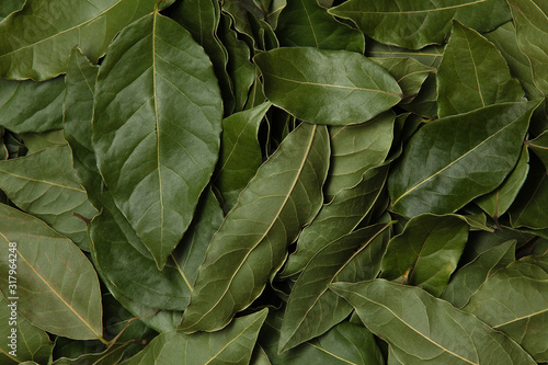 Dried Laurel leaves texture background. Top view. Cooking background.