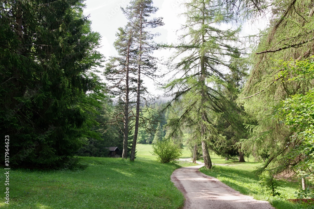 Fototapeta premium Wanderweg