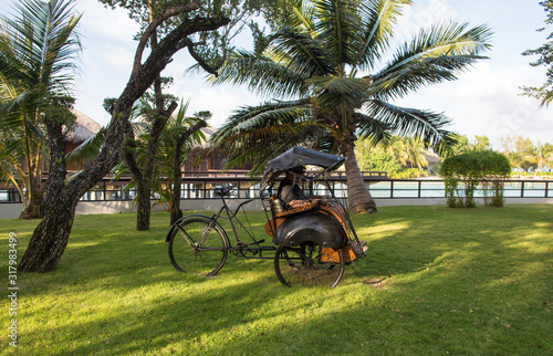 cart guy in a tropical resort