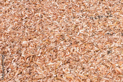 Sun dry shrimps on the ground texture. Seafood industry in Asia background.