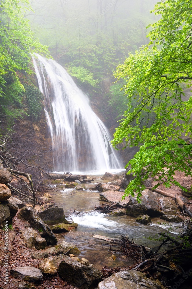 Fototapeta premium Waterfall flows in mountain forest