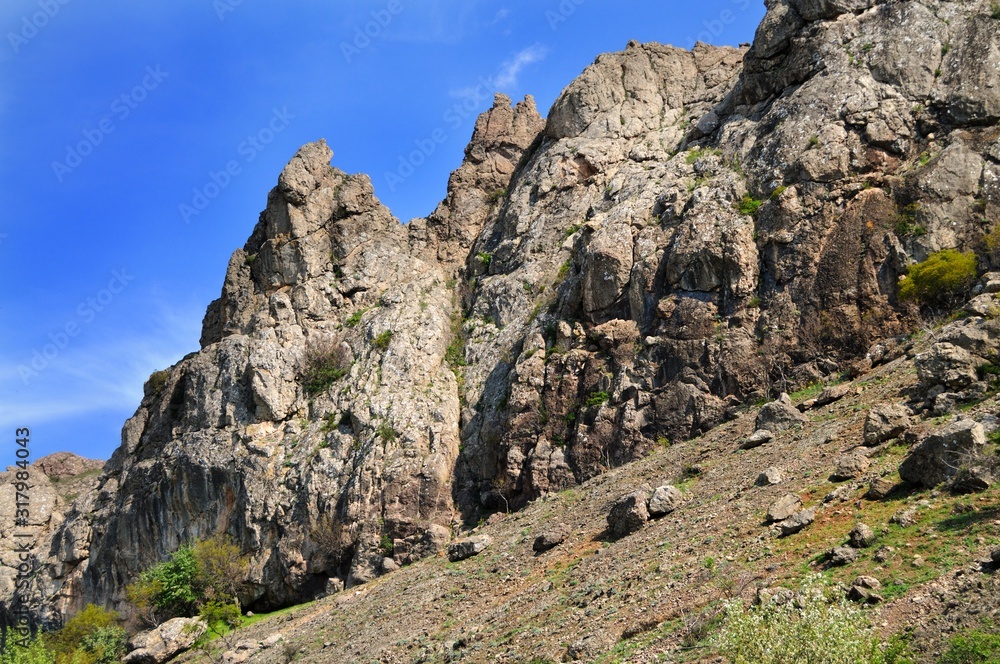 Mountain ranges covered with forest and bushes