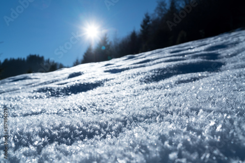 White snow crust winter on the forest slope high definition image with sun back light at Karpaty, Ukraine.