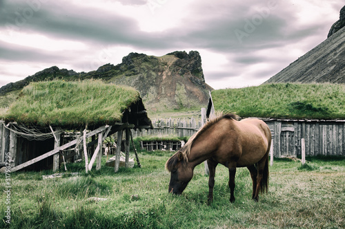 Horse grazing with mountains in background