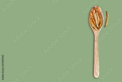 Bamboo edible worm insects crispy or Bamboo Caterpillar in wooden spoon on green colour background.