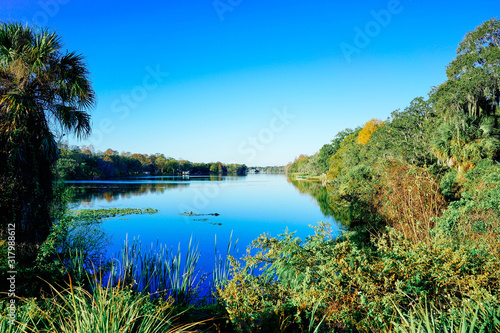 Hillsborough river at Tampa, Florida 