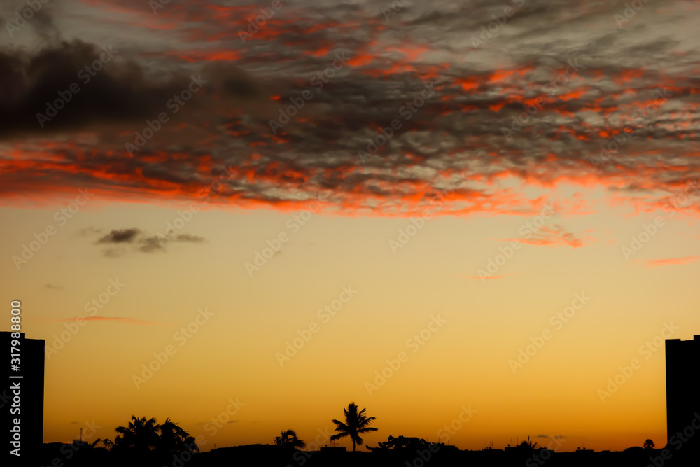 Orange Sunset and city silhouettes, palm tree