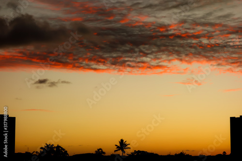 Orange Sunset and city silhouettes, palm tree © Caio