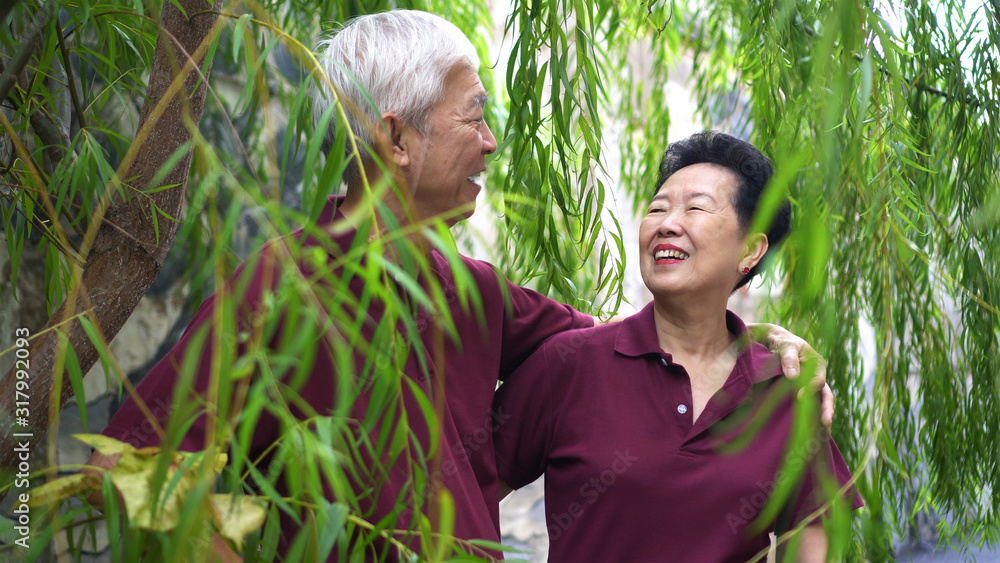 Happy retired Asian elder couple laughing under green willow tree Happy retired Asian elder couple laughing under green willow tree