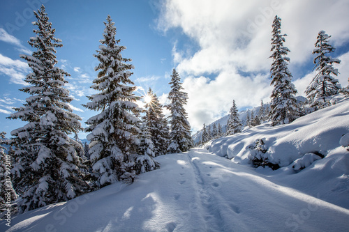 Eine tief verschneite Winterlandschaft