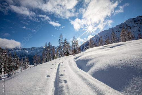 Eine tief verschneite Winterlandschaft photo