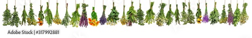Verschiedene frische Heilkräuter in Bündeln hängen zum Trocknen photo