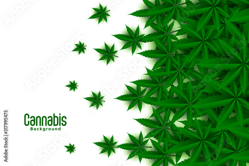 green cannabis leaves on white background design