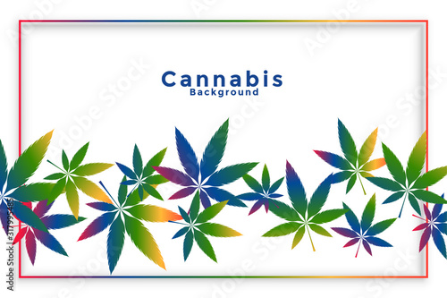 cannabis marijuana leaves in colorful style background