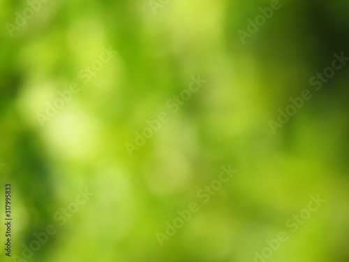 Amazing blurred colorful green nature background wallpaper