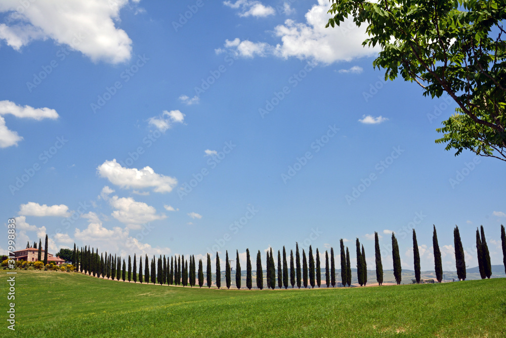 white fence and blue sky