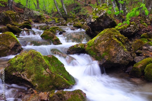 Fototapeta Naklejka Na Ścianę i Meble -  Stones lie in water in mountain stream