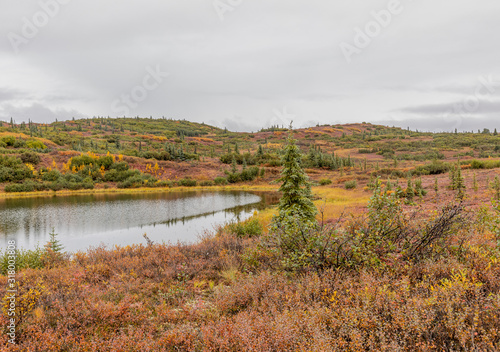 Scenic Denali National Park Autumn Landscape