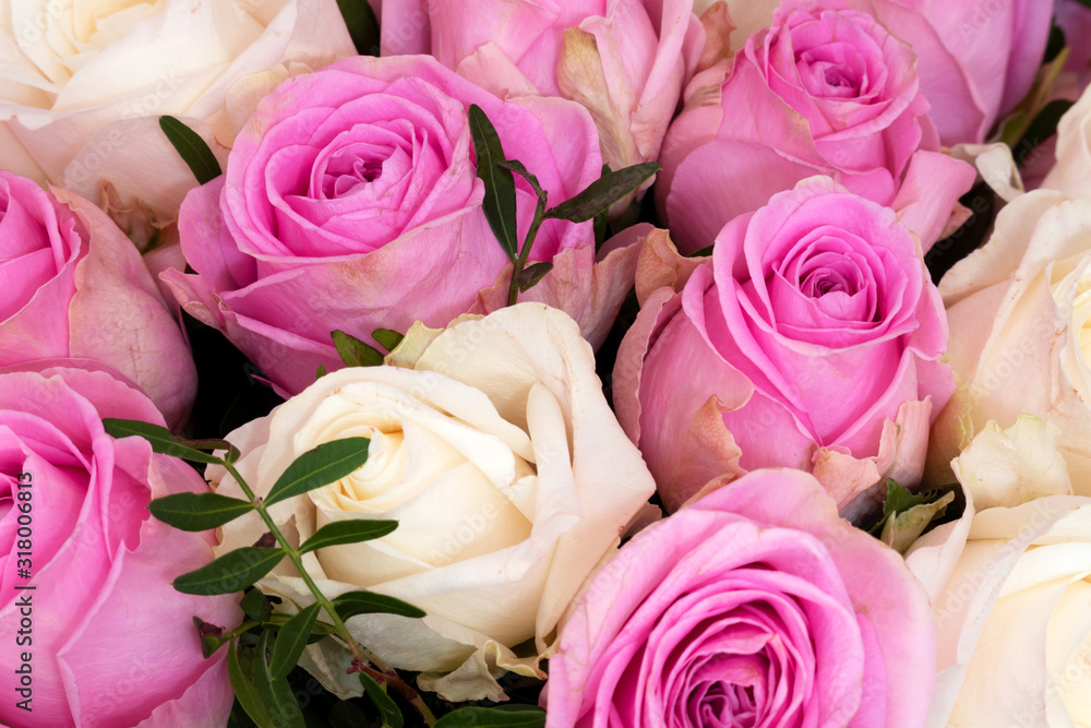 Nahaufnahme von einem Strauß mit weißen und rosa Rosen Nahaufnahme von einem Strauß mit weißen und rosa Rosen