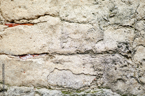 The structure of the old concrete wall in the cracks.