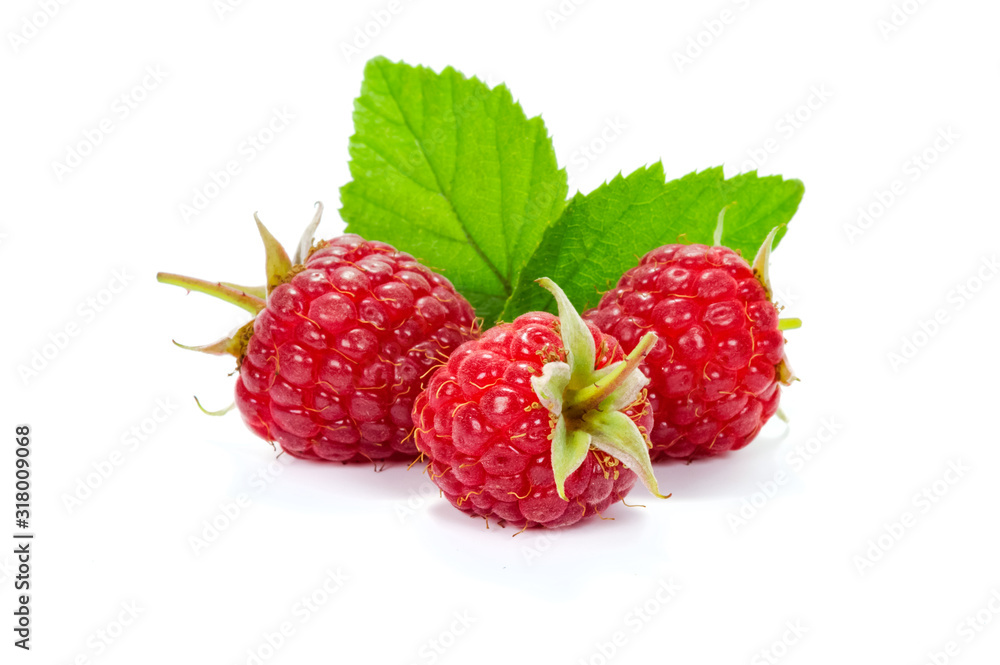 Group of fresh raspberries with leaves isolated on a white background in close-up Group of fresh raspberries with leaves isolated on a white background in close-up