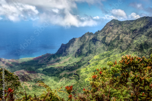 Colorful overlook at Pu’u O Kila Lookout - Nā Pali Coast - Kauai - USA. Green mountain valley plunges into Pacific Ocean along the famous Nā Pali Coast. Ohia Lehua trees can be seen in foreground.