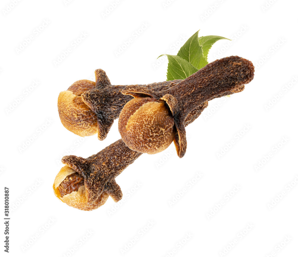 dry spicy cloves with green leaves isolated on white background dry spicy cloves with green leaves isolated on white background