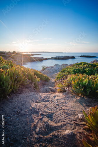 Suren im Sand photo