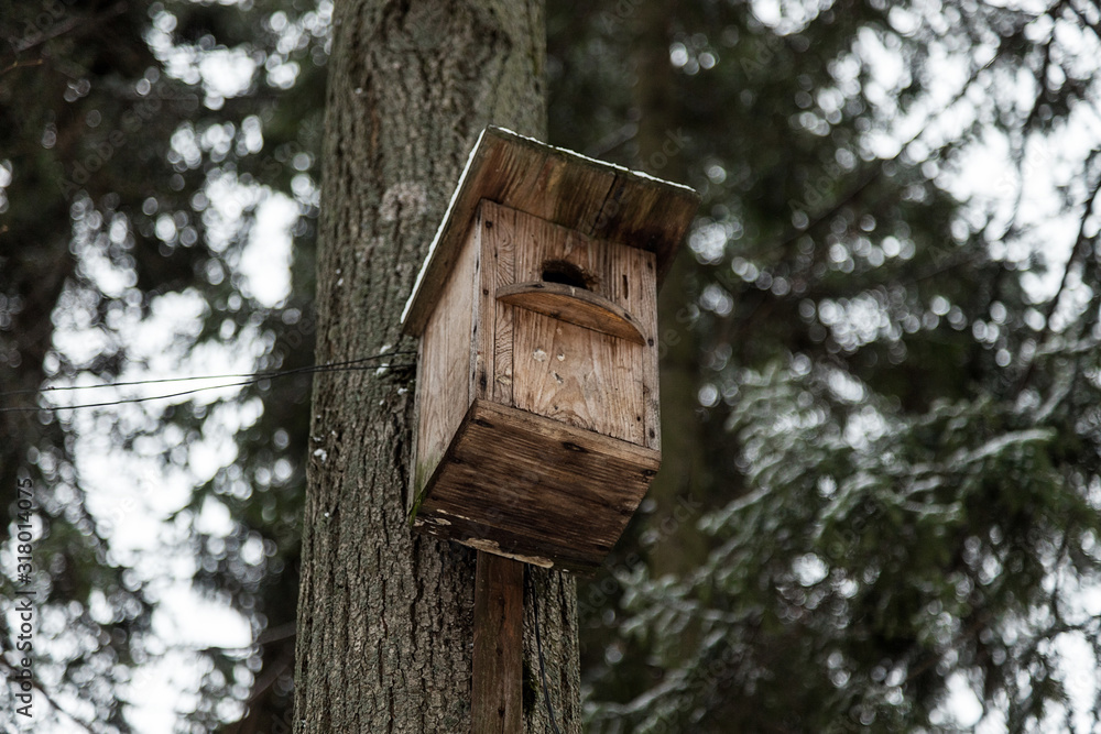 Early winter. The first snow. Birdhouse on the tree Early winter. The first snow. Birdhouse on the tree